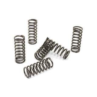 Clutch springs set of 6 pieces reinforced EBC CSK133