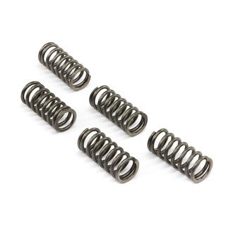 Clutch springs set of 5 pieces reinforced EBC CSK135
