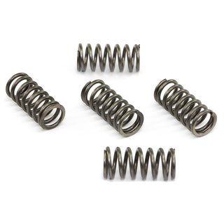 Clutch springs set of 5 pieces reinforced EBC CSK135