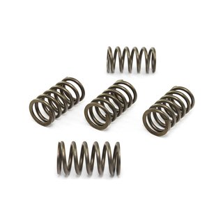 Clutch springs set of 5 pieces reinforced EBC CSK194