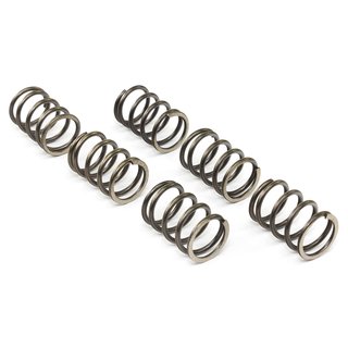 Clutch springs set of 6 pieces reinforced EBC CSK197