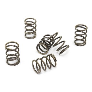 Clutch springs set of 6 pieces reinforced EBC CSK197