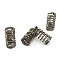Clutch springs set of 4 pieces reinforced EBC CSK199