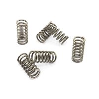 Clutch springs set of 6 pieces reinforced EBC CSK200