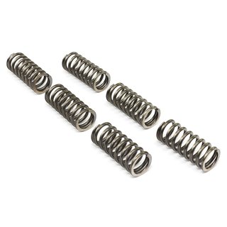 Clutch springs set of 6 pieces reinforced EBC CSK211