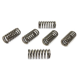 Clutch springs set of 6 pieces reinforced EBC CSK211