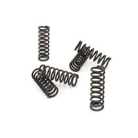 Clutch springs set of 6 pieces reinforced EBC CSK037