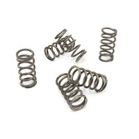 Clutch springs set of 6 pieces reinforced EBC CSK165