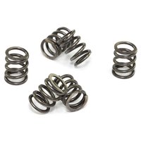 Clutch springs set of 6 pieces reinforced EBC CSK071