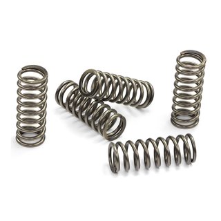 Clutch springs set of 5 pieces reinforced EBC CSK112