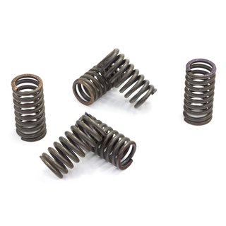Clutch springs set of 6 pieces reinforced EBC CSK030