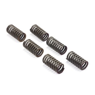 Clutch springs set of 6 pieces reinforced EBC CSK030