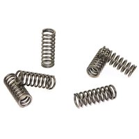 Clutch springs set of 6 pieces reinforced EBC CSK075
