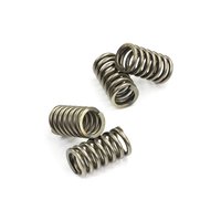 Clutch springs set of 4 pieces reinforced EBC CSK115