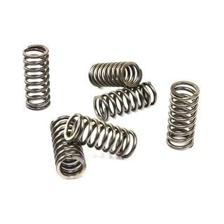 Clutch springs set of 6 pieces reinforced EBC CSK091
