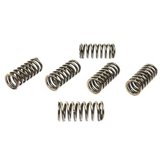 Clutch springs set of 6 pieces reinforced EBC CSK091