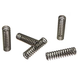 Clutch springs set of 5 pieces reinforced EBC CSK128