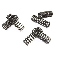 Clutch springs set of 6 pieces reinforced EBC CSK069