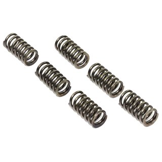 Clutch springs set of 6 pieces reinforced EBC CSK190