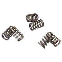 Clutch springs set of 6 pieces reinforced EBC CSK023