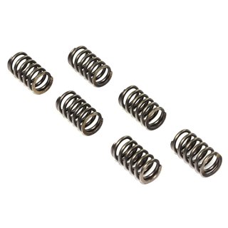 Clutch springs set of 6 pieces reinforced EBC CSK088