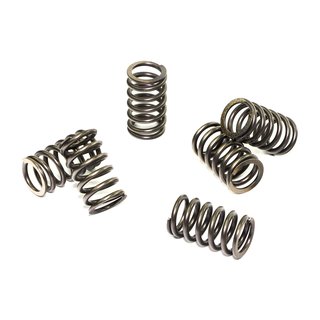 Clutch springs set of 6 pieces reinforced EBC CSK088