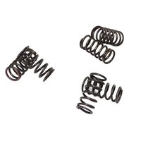 Clutch springs set of 6 pieces reinforced EBC CSK038