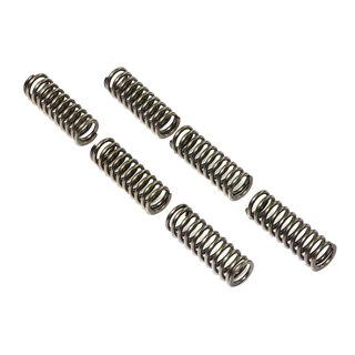 Clutch springs set of 6 pieces reinforced EBC CSK092