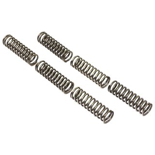 Clutch springs set of 6 pieces reinforced EBC CSK061