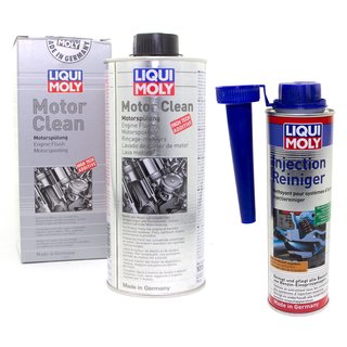 Motor Clean Motor Splung Reiniger + Injection Cleaner Einspritzanlage LIQUI MOLY 1019 + 5110