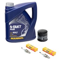 Maintenance Set oil 4L + oil filter + spark plug