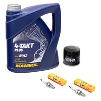 Maintenance Set oil 4L + oil filter + spark plug