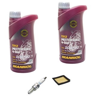 Maintenance Set oil 2L + oil strainer + spark plug