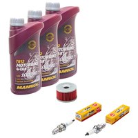 Maintenance package oil 3L + oil filter + spark plugs