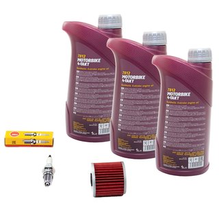 Maintenance package oil 3L + oil filter + spark plug