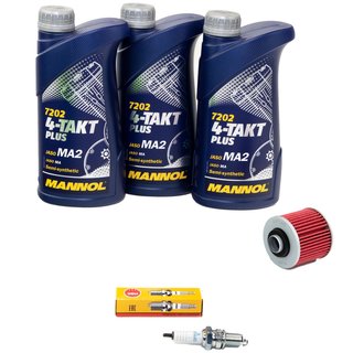 Maintenance package oil 3L + oil filter + spark plug
