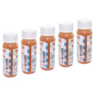 Bactofin Gasoline Stabilizer Tankprotection 5 X 100 ml