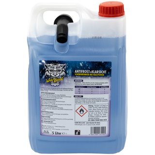 Anti Freeze and Clear WinterBeast ready to use -20C 01355000 SONAX 5 liters