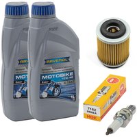 Maintenance Set oil 2L + oil filter + spark plug