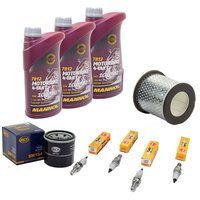 Maintenance Set oil 3L air filter + oil filter + spark plugs