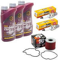 Maintenance Set oil 3L + oil filter + spark plugs