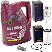 Inspectionpackage Fuelfilter ST 711 + Oilfilter SH 425 P...