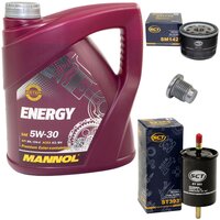 Inspectionpackage Fuelfilter ST 393 + Oilfilter SM 142 +...
