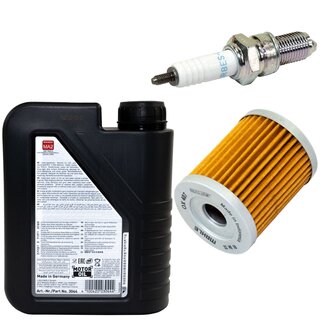Maintenance package oil 1 liter + oil filter + spark plug