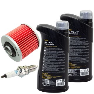 Maintenance package oil 2 liters + oil filter + spark plug