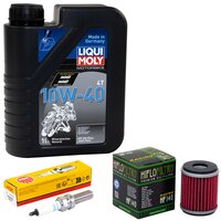 Maintenance package oil 1 liter + oil filter + spark plug