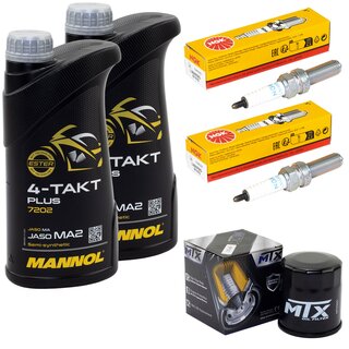 Maintenance package oil 2 liters + oil filter + spark plugs